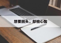 想要回头，却怕心酸