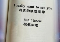 我想，我是真的后悔了