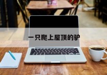 一只爬上屋顶的驴