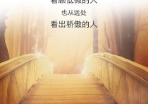 我再也找不回曾经的骄傲