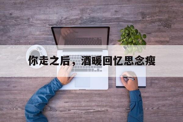 你走之后，酒暖回忆思念瘦